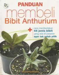Image of Panduan Membeli Bibit Anthurium