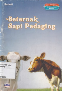 Image of Beternak sapi pedaging