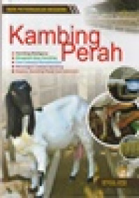 Image of Kambing Perah
